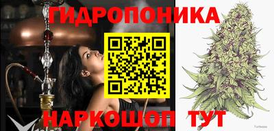 прущие крисы Краснознаменск