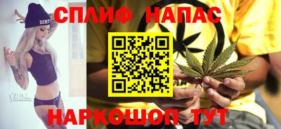 прущие крисы Краснознаменск