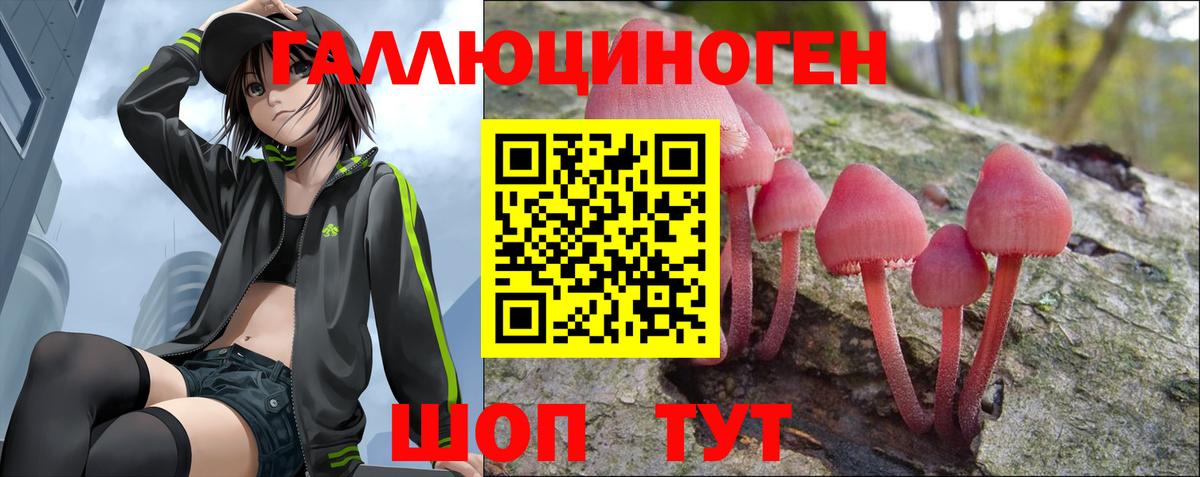 Галлюциногенные грибы Psilocybe Кисловодск